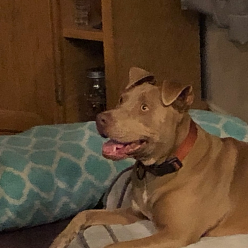 Meet your Posher, Maria